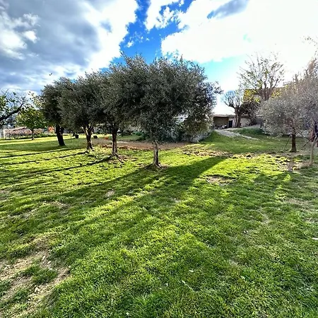 La Picholine Aubenas